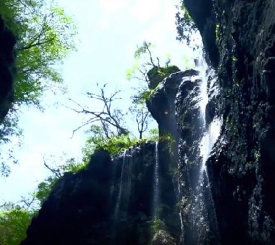 青山綠水，白龍江畔江畔息白鷺，兩岸綠橄欖入眼的都是純樸自然枝上花開，春來(lái)水暖魚蝦戲水，鳥語(yǔ)花香心中充滿著舒暢之感祥宇生態(tài)產(chǎn)業(yè)園，位于隴南市武..